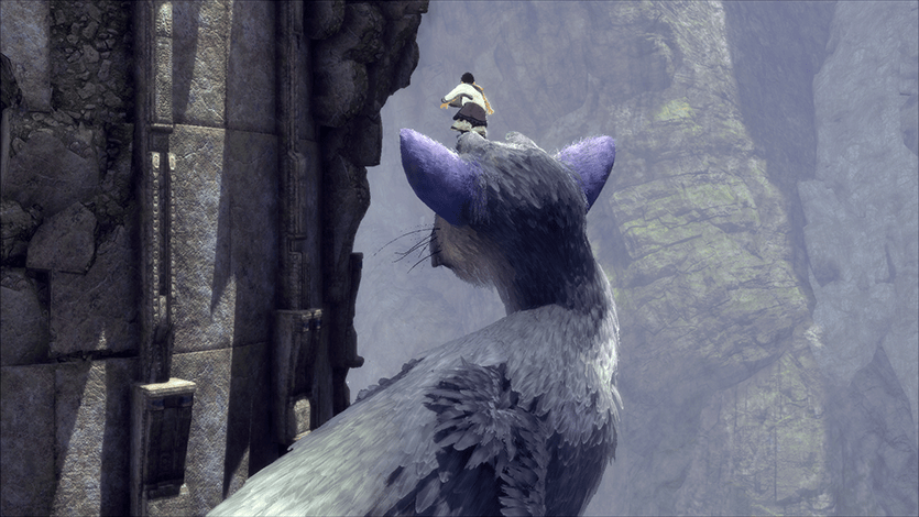 20161118-trico-06.png