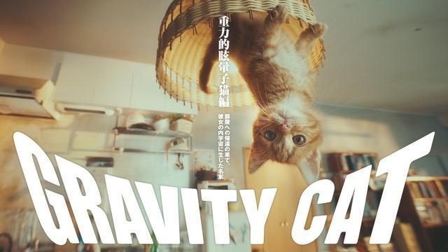 世界最高峰!｢カンヌライオンズ 2017｣で『GRAVITY DAZE 2』の｢重力猫｣PVが"Gold Lion"他7つの賞を受賞!