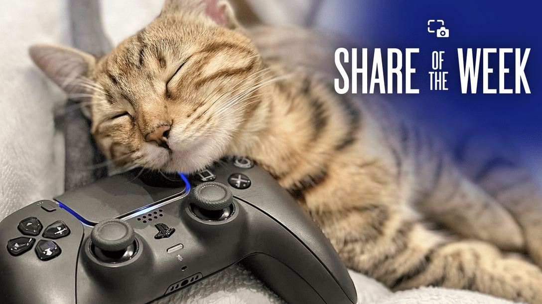 ｢ゲーム好き猫｣をテーマに、世界中から届いたキャプチャを厳選して公開！【Share of the Week】