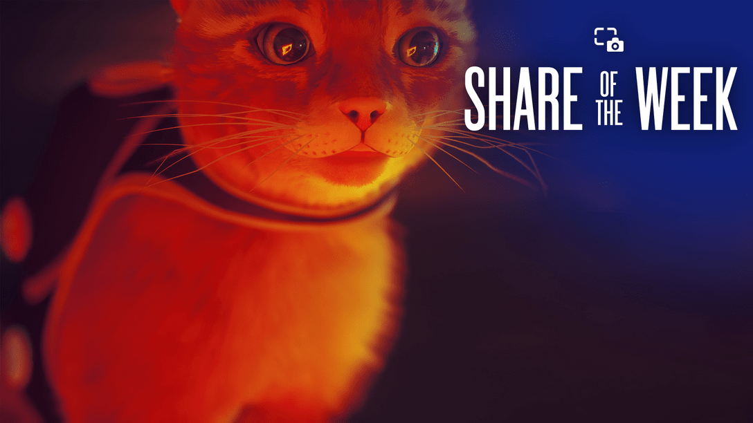 『Stray』- ｢猫のアップ｣をテーマに、世界中から届いたキャプチャを厳選して公開！【Share of the Week】